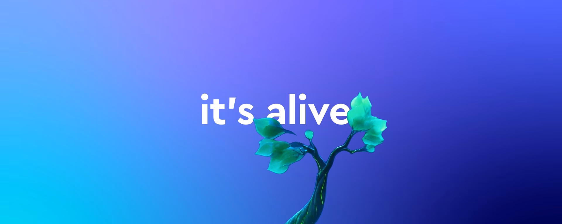 The Canopy Effect Frame 4