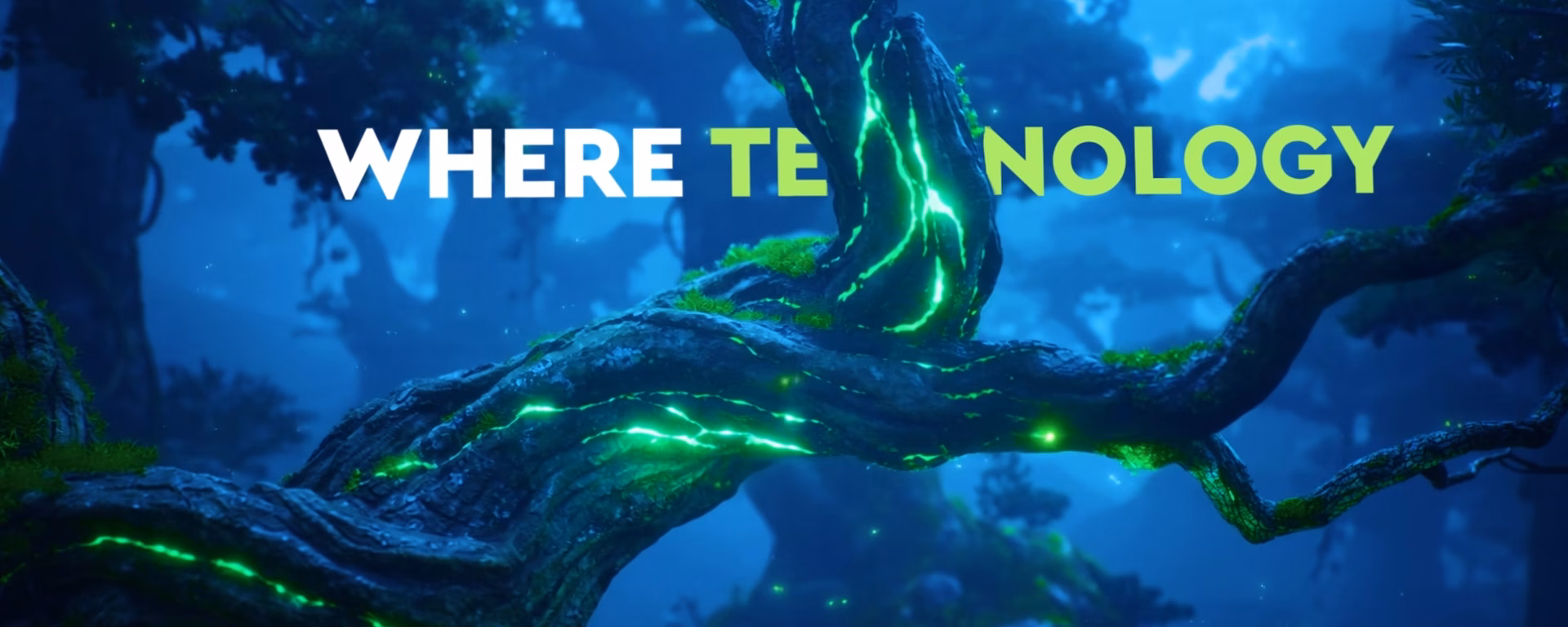 The Canopy Effect Frame 8