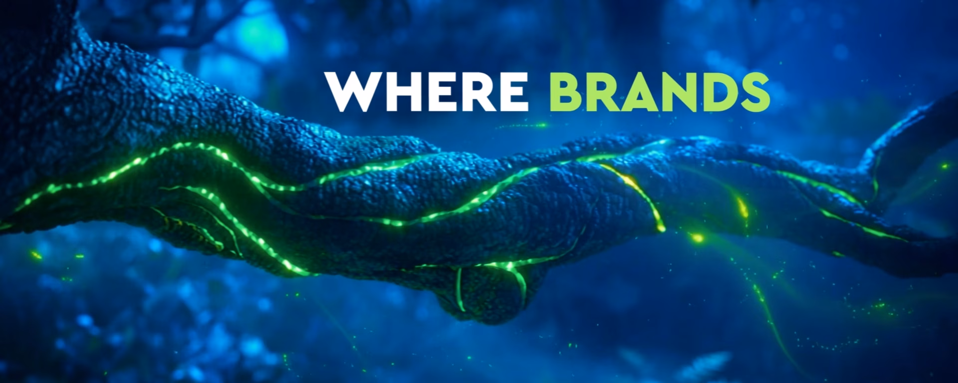 The Canopy Effect Frame 10