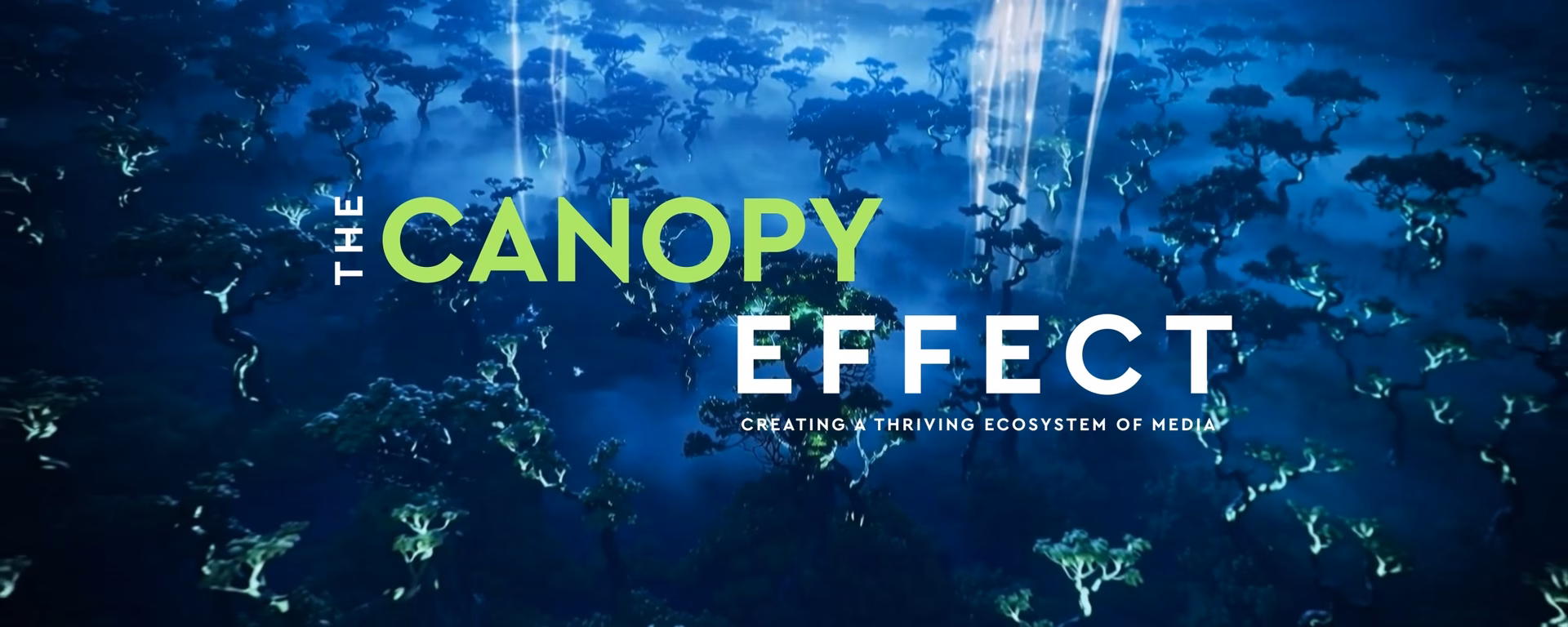 The Canopy Effect Frame 15